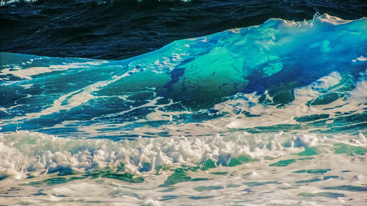 深圳海滩出现一片褐色泡泡，深圳海滩褐色泡泡现象揭秘