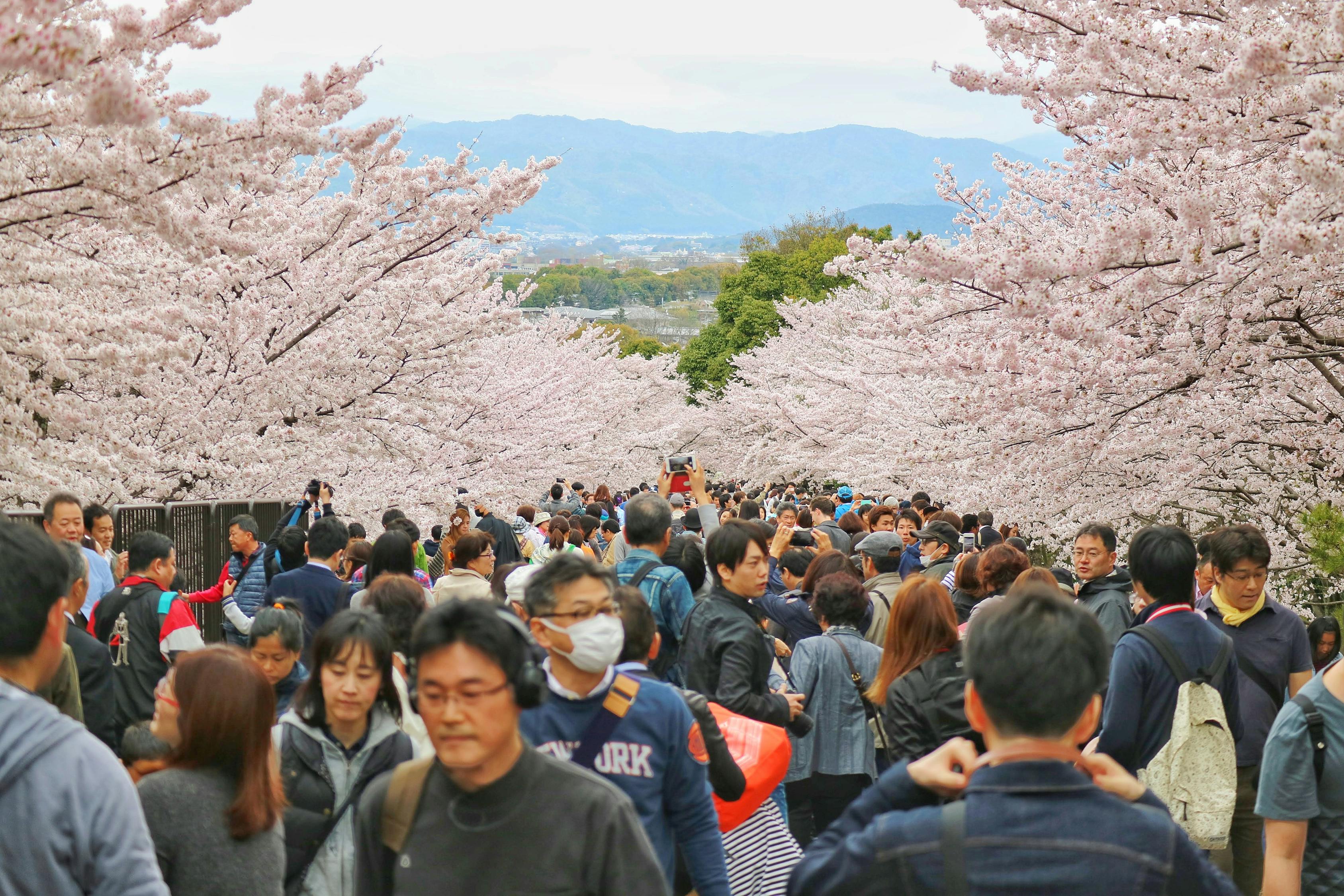 打铁花表演朝人群打？当地回应，打铁花表演是否朝人群打？官方回应