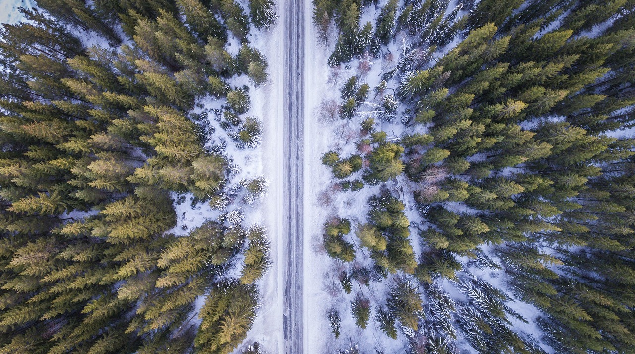 “尔滨”遇到亚冬 冰雪更加闪亮，亚冬遇尔滨，冰雪闪耀更璀璨